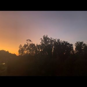 Meet your Posher, Ava